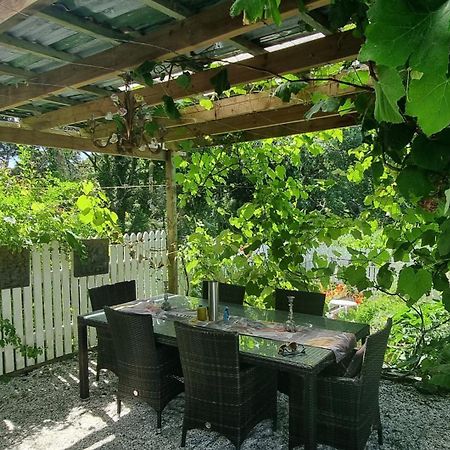 Pheasant Lodge Paparoa エクステリア 写真