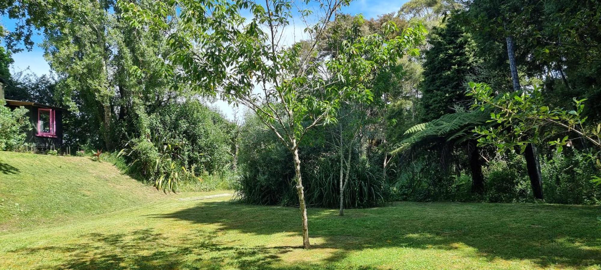 Pheasant Lodge Paparoa エクステリア 写真