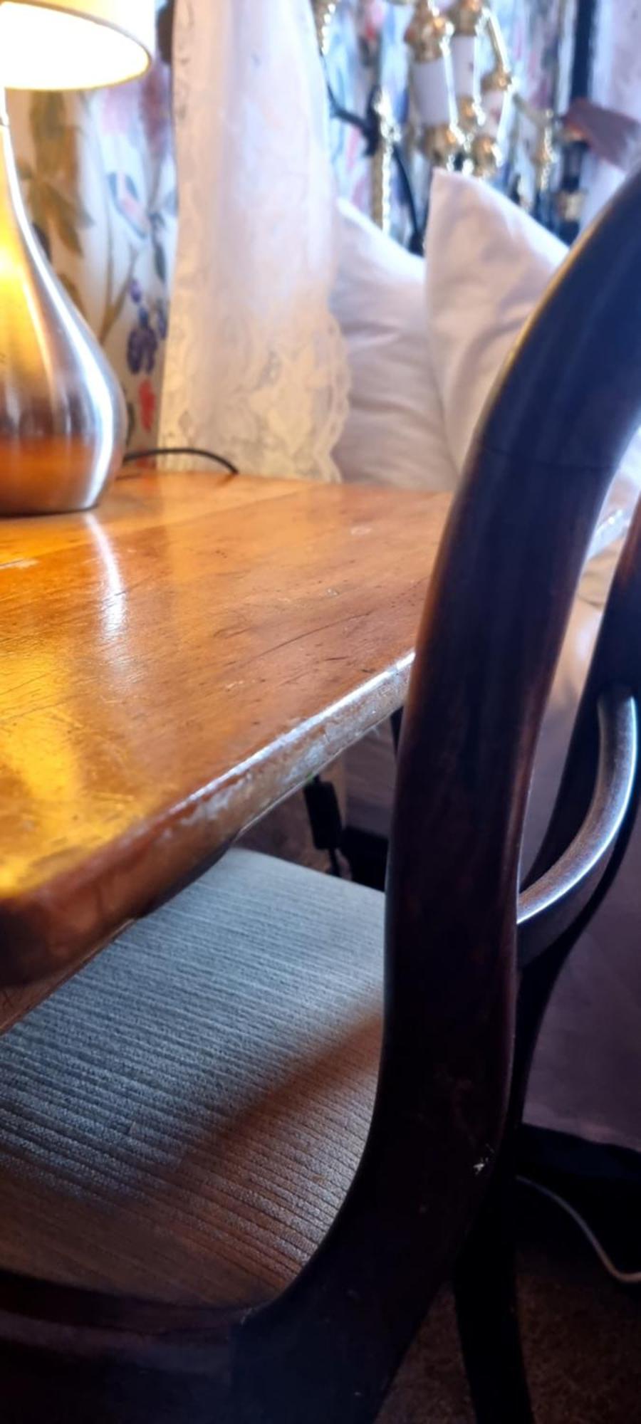 Pheasant Lodge Paparoa エクステリア 写真