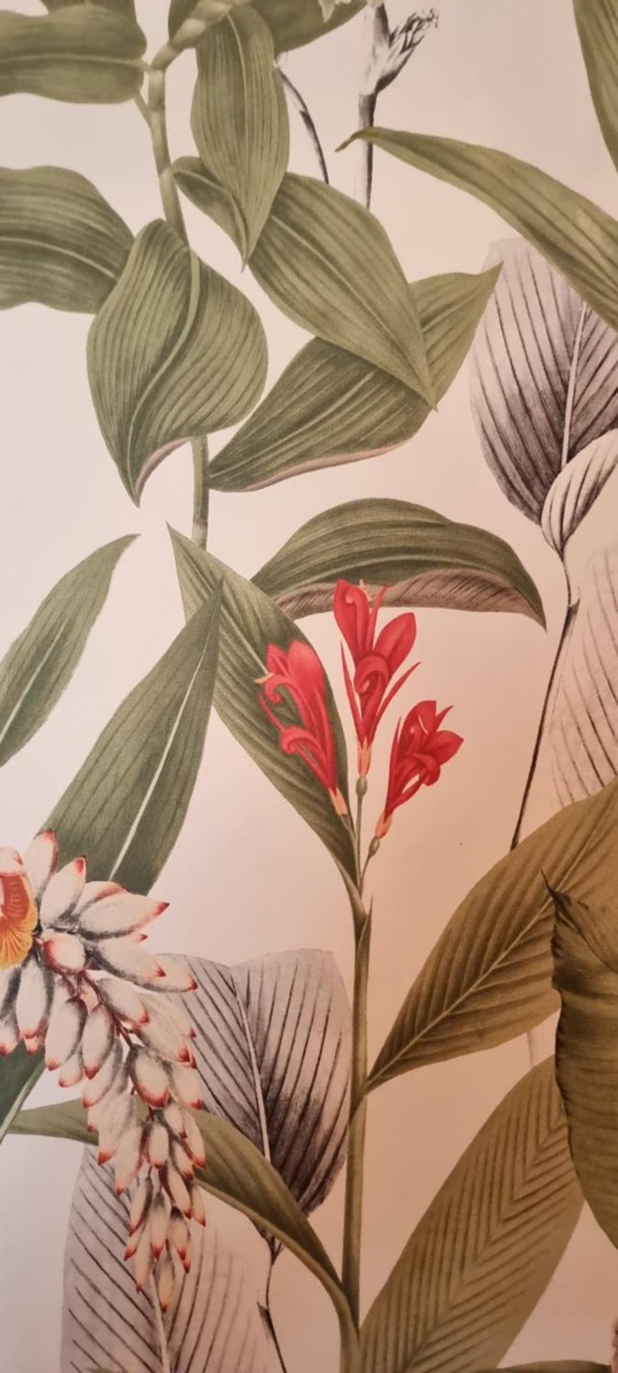 Pheasant Lodge Paparoa エクステリア 写真